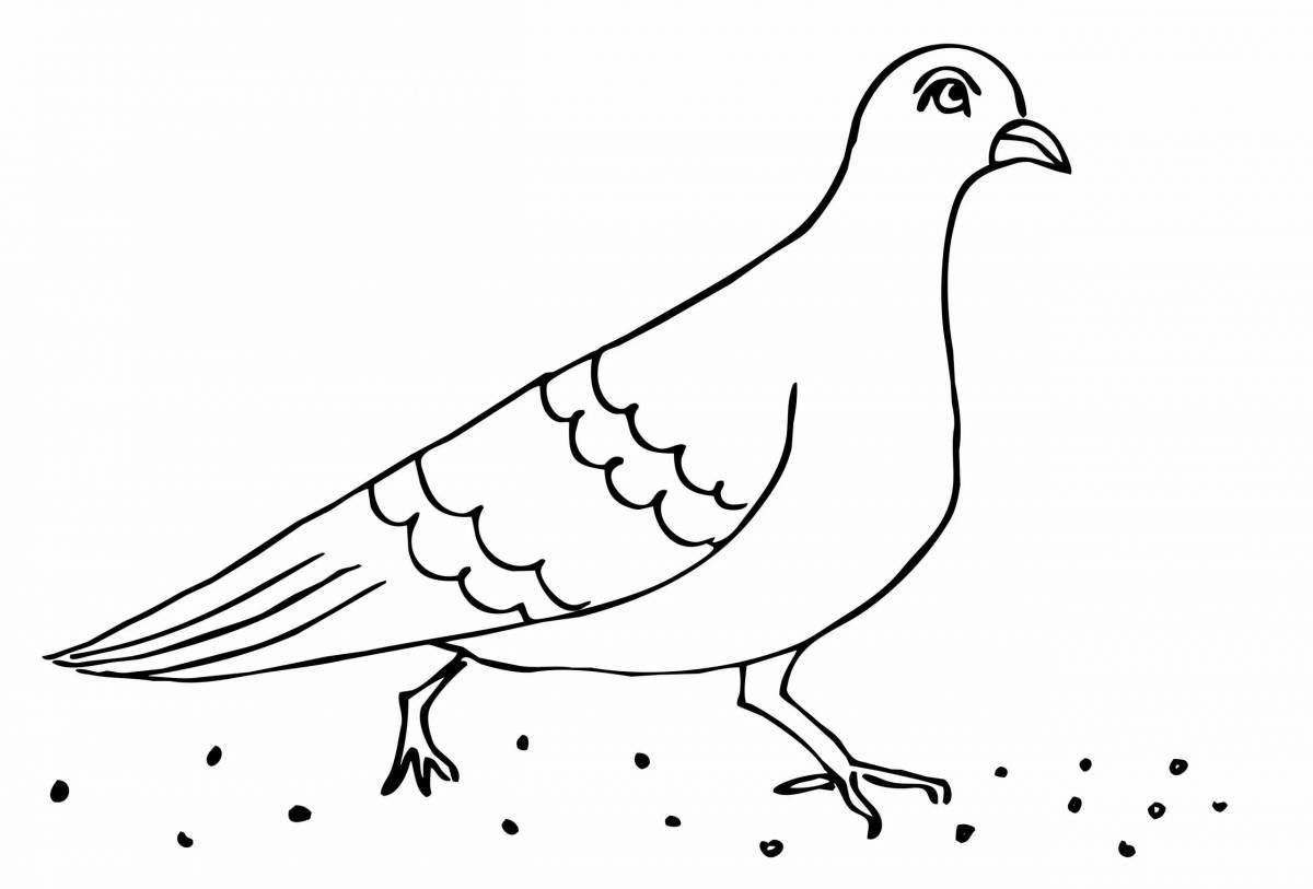 Adorable coloring dove