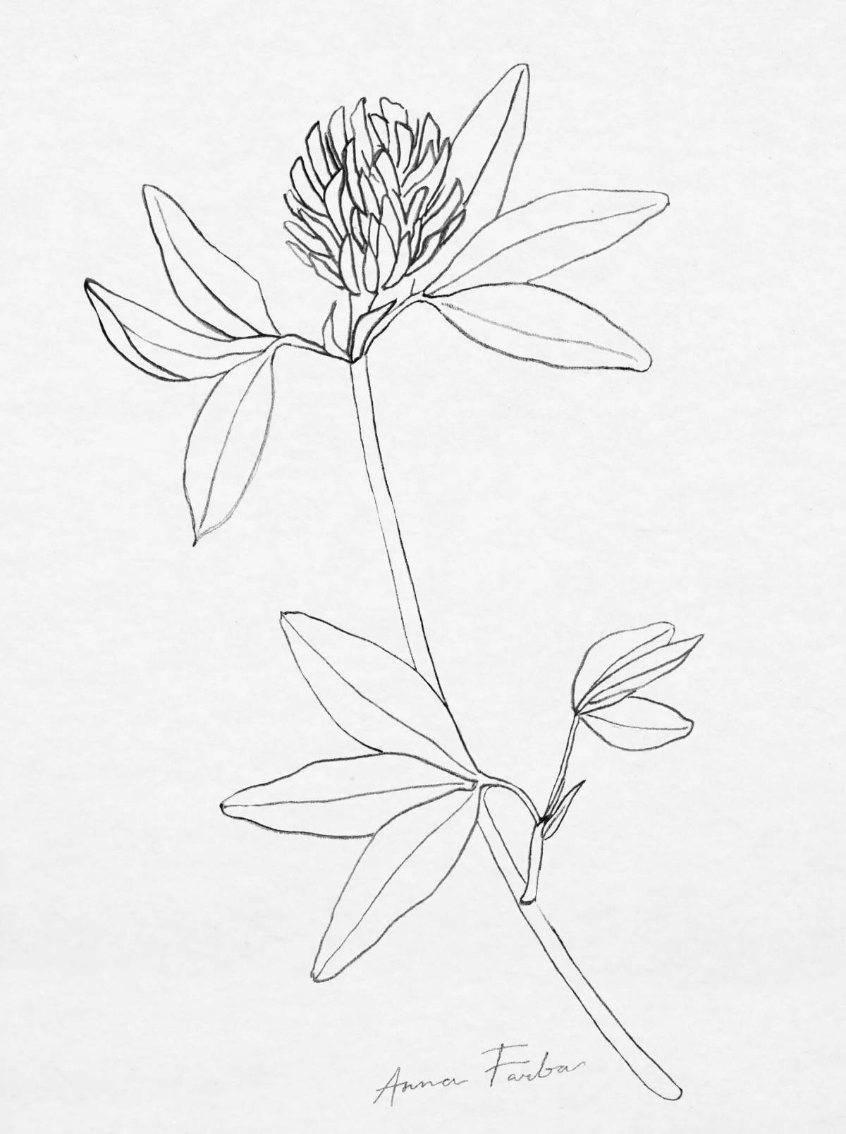 Gorgeous botanical coloring page