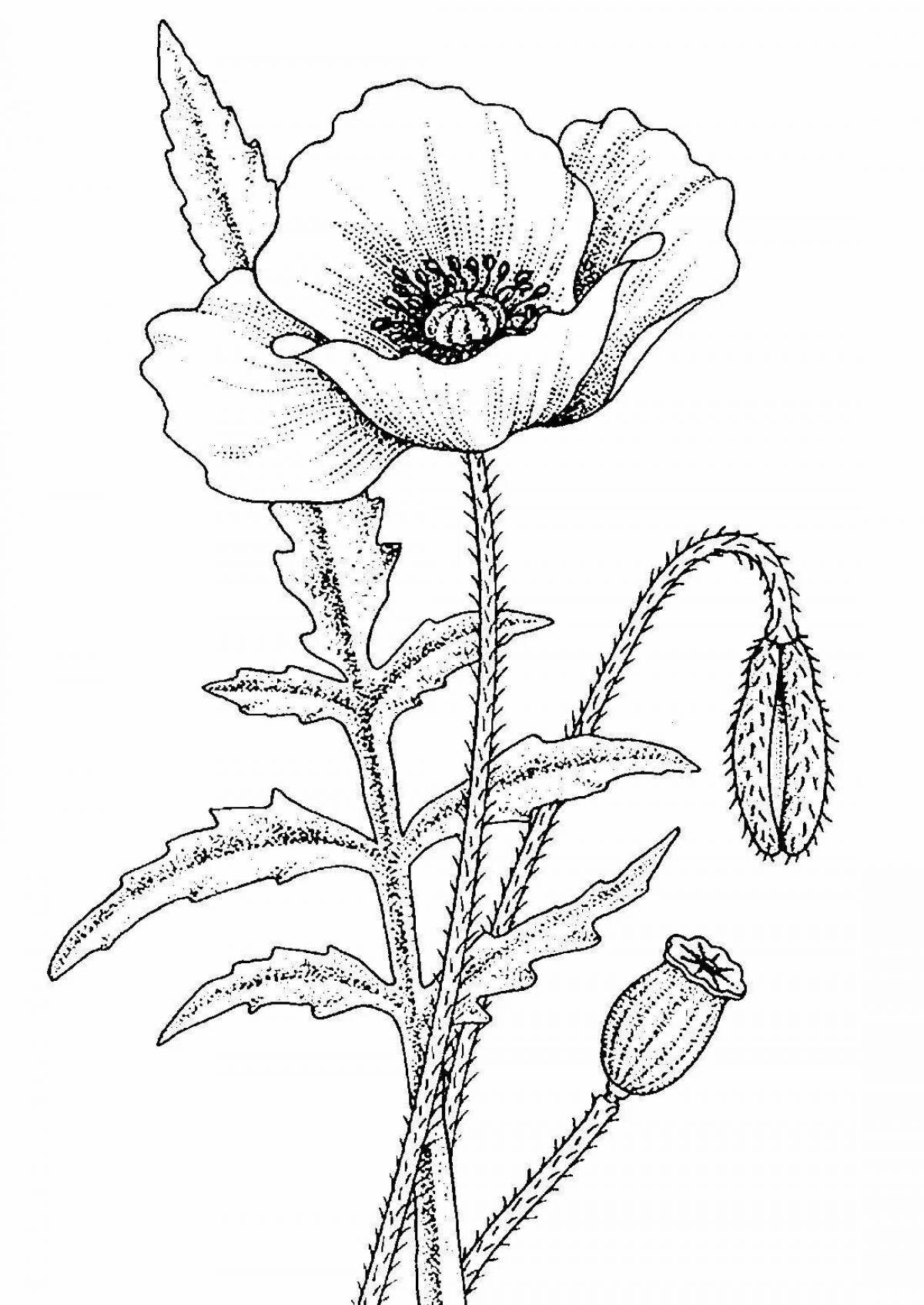 Awesome botanical coloring pages