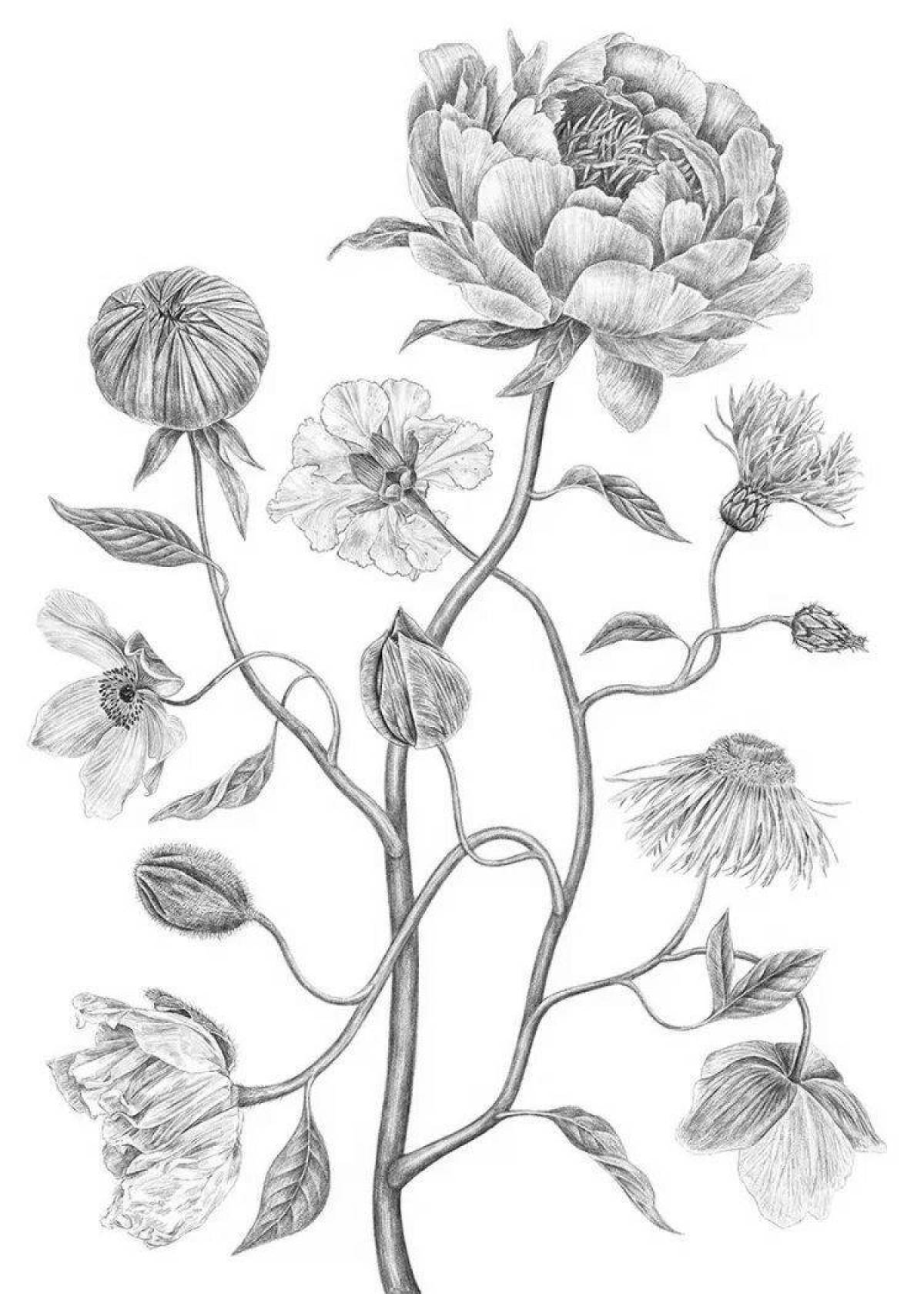 Щедрая раскраска ботаническая страница