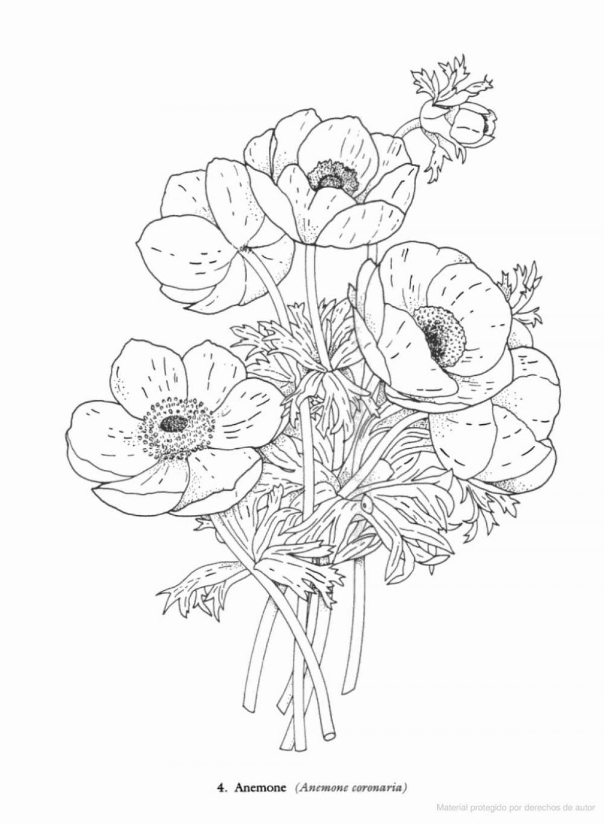 Ornate coloring book botanical page