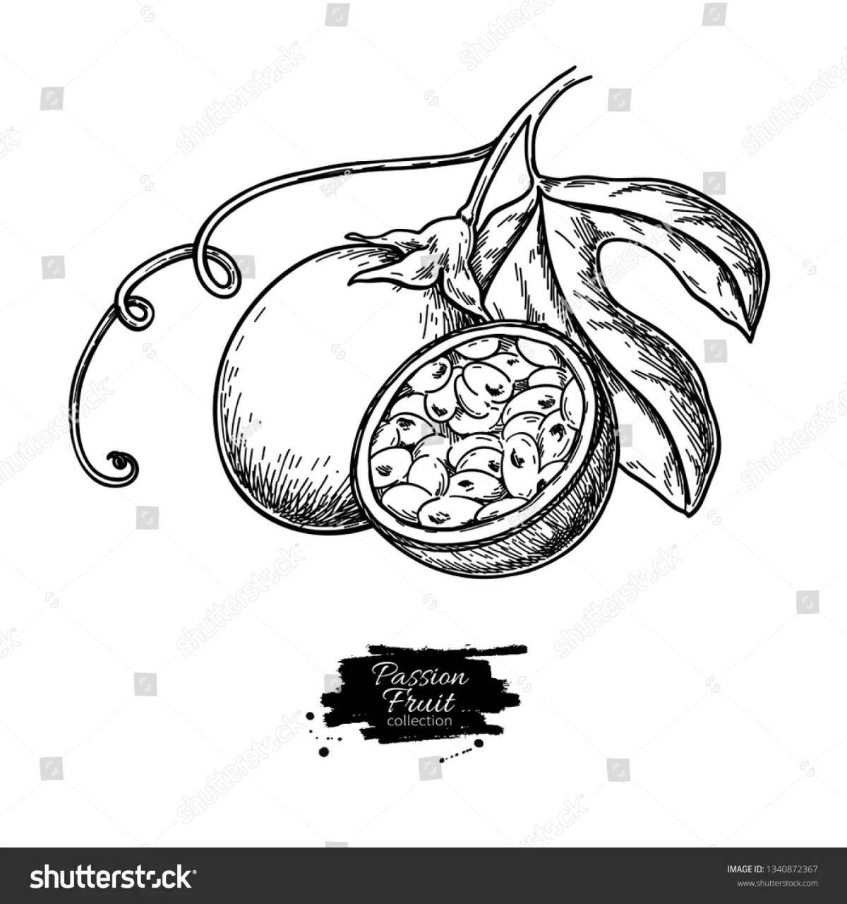 Vibrant passion fruit coloring page