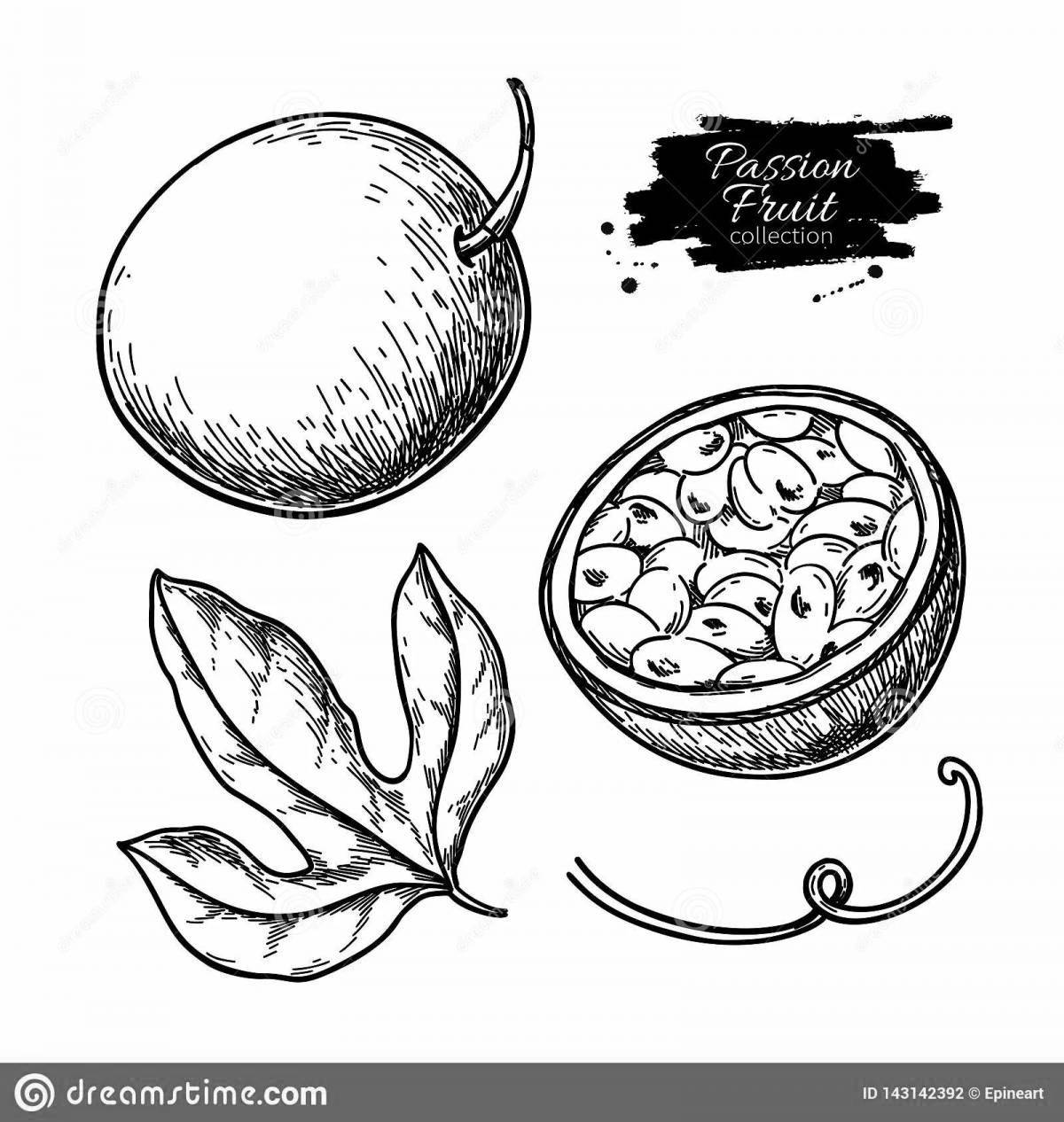 Coloring book funny passion fruit