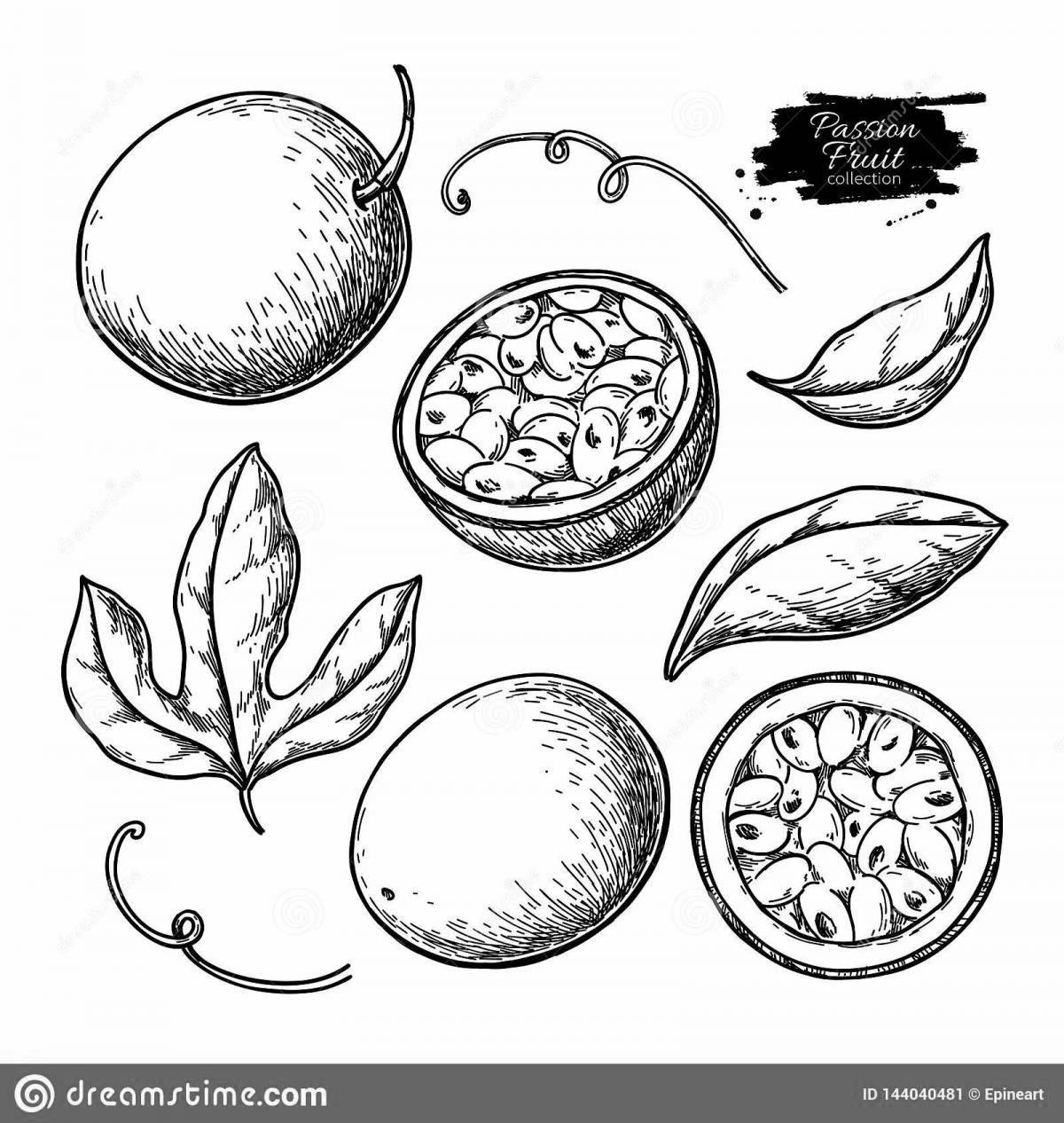 Playful passion fruit coloring page