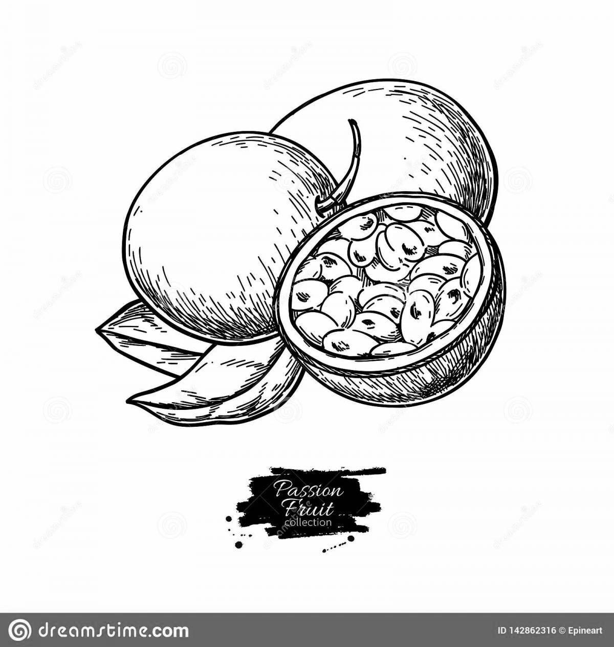 Passion fruit coloring page live