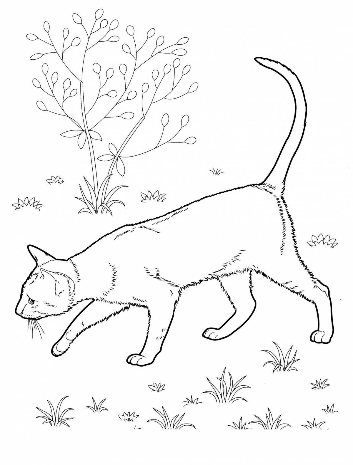 Playful all cats coloring page