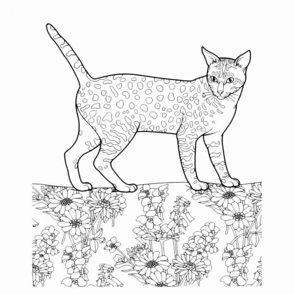 Adorable cats coloring book