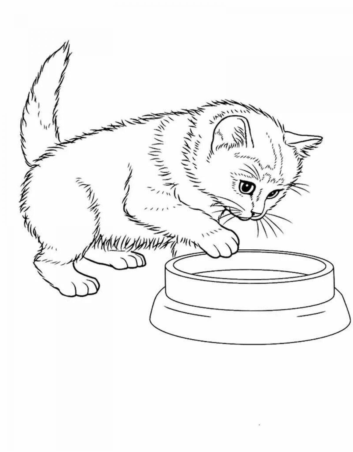 Fun all cats coloring book