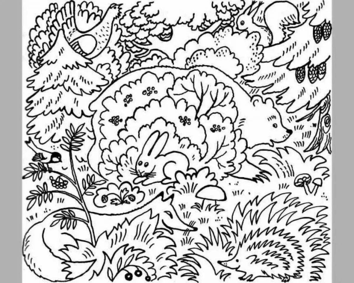 Exquisite coloring book where to find