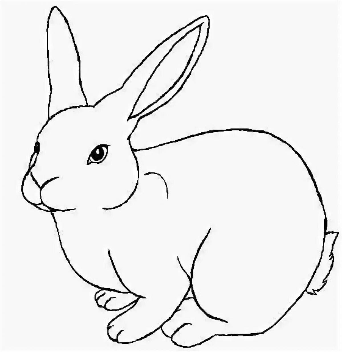 Shiny hare coloring book