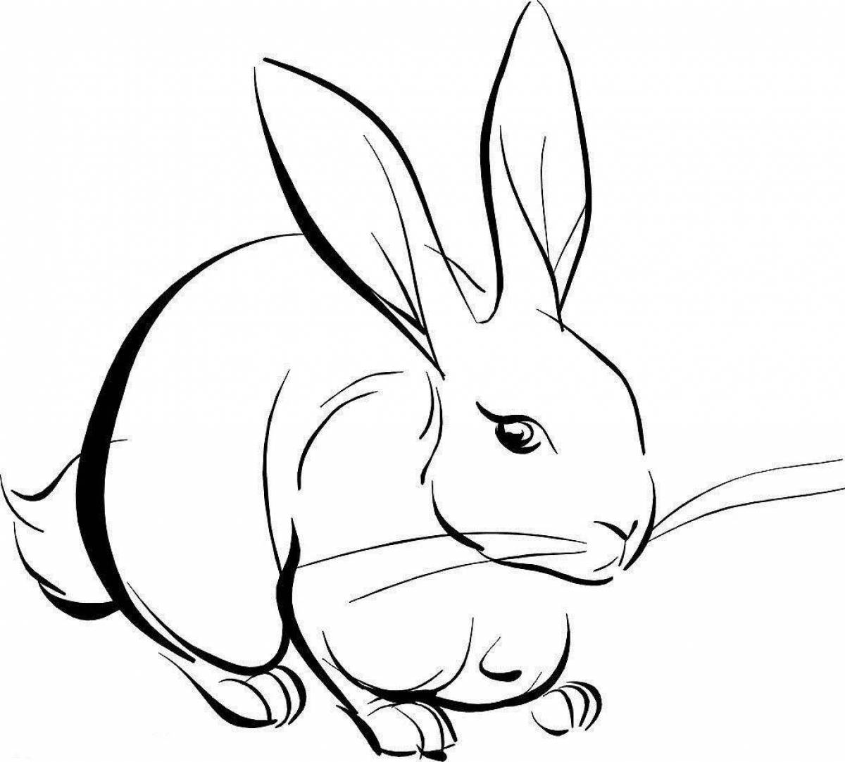 Fun coloring hare
