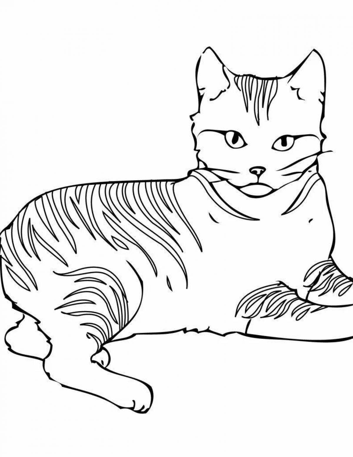 Раскраска пушистый котенок