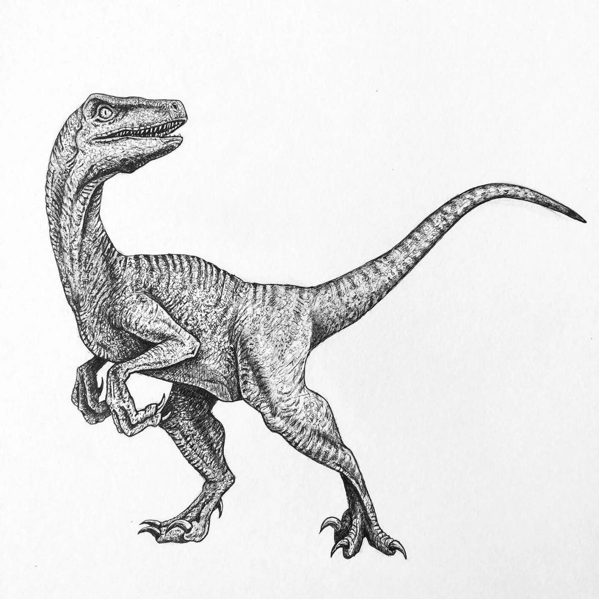 Majestic velociraptor coloring page