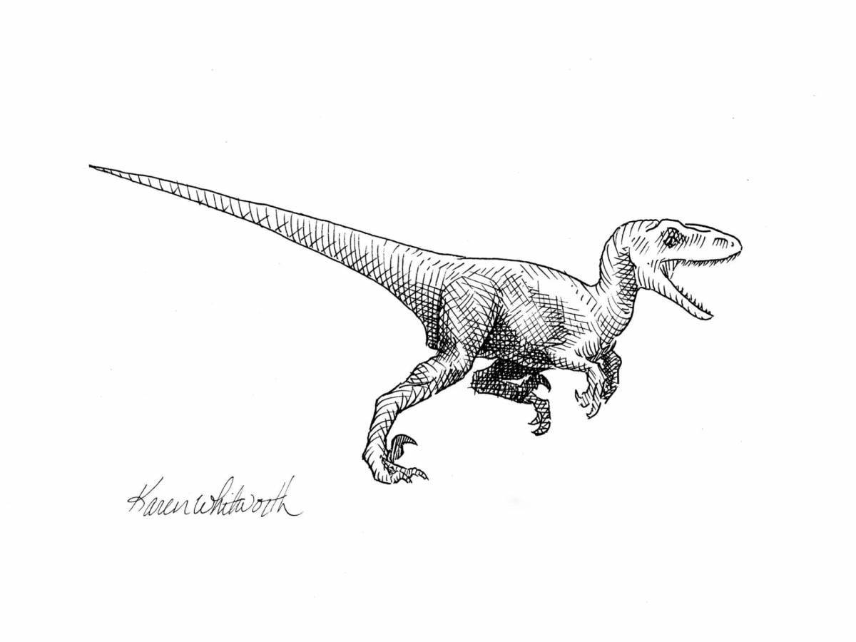 Очаровательная раскраска velociraptor