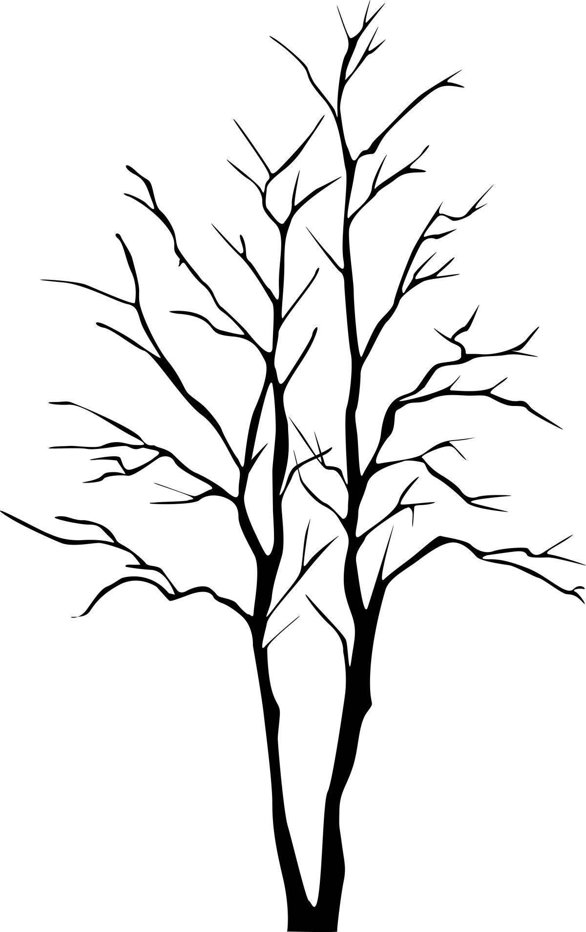 Coloring book amazing tree silhouette