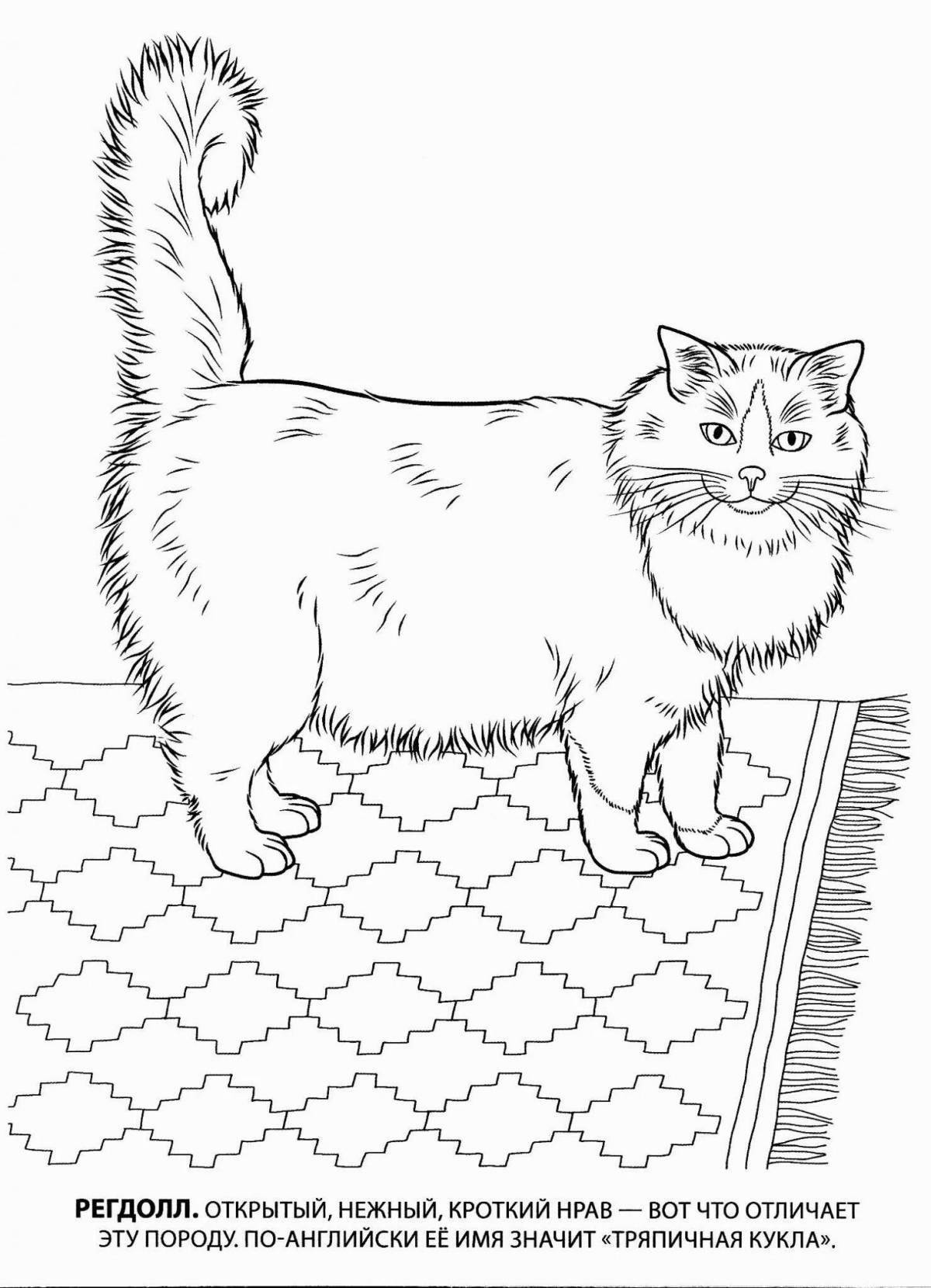 Naughty cat coloring page