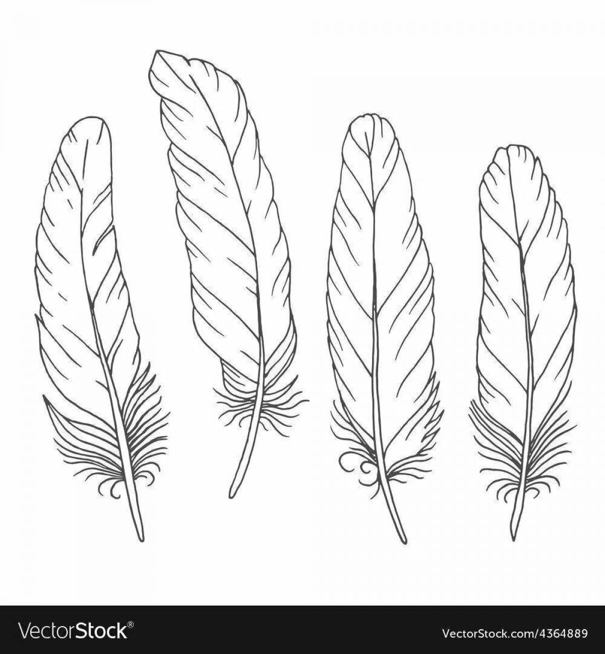 Intricate feather coloring page
