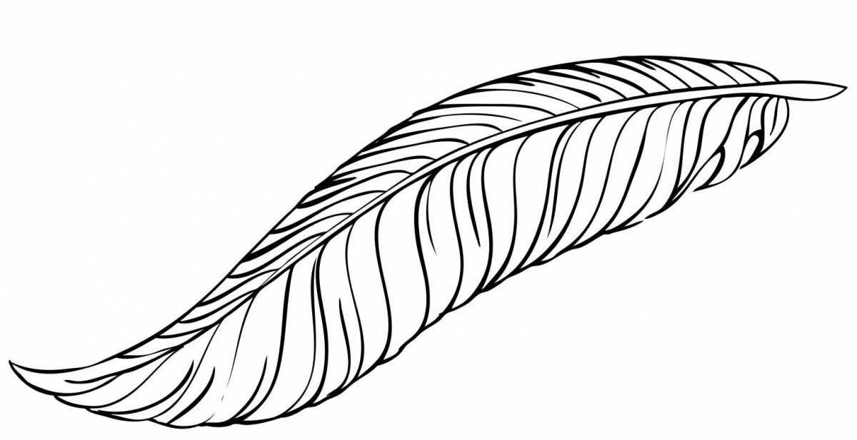 Creative feather coloring page
