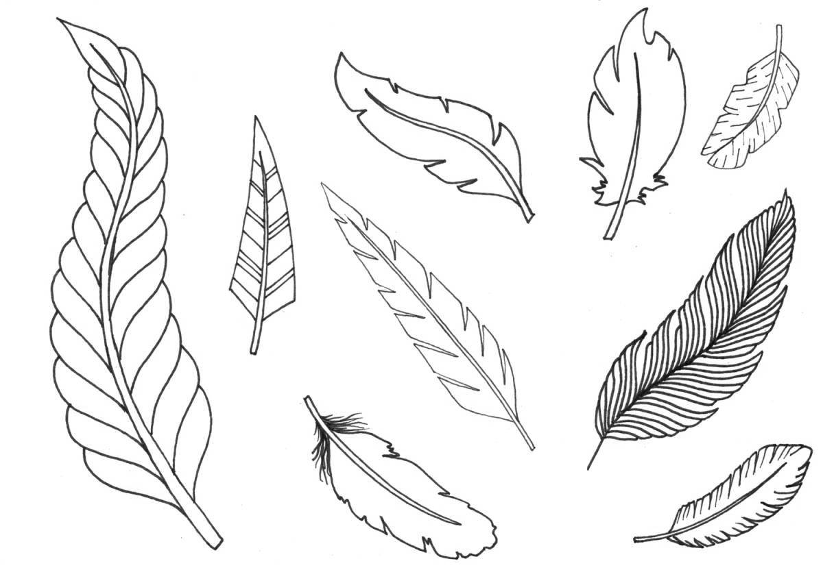 Coloring page elegant pattern with feathers