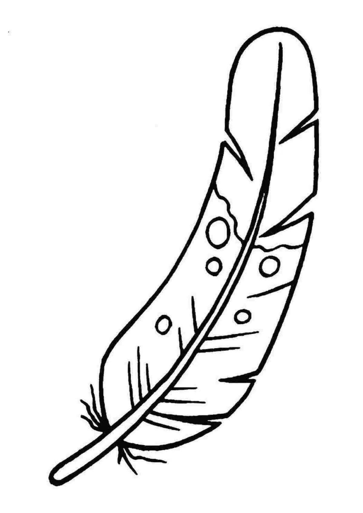 Coloring page exquisite pattern with feathers
