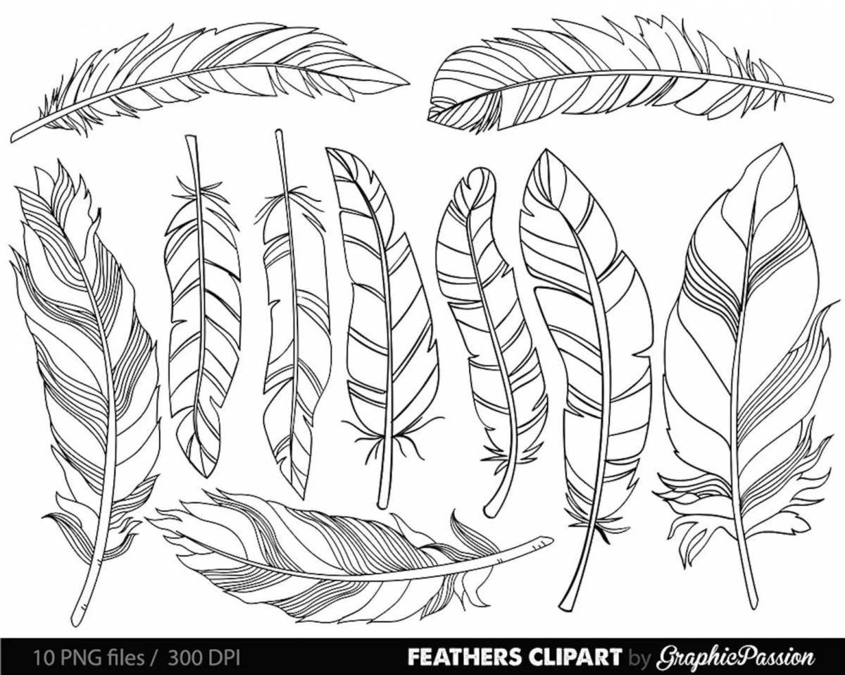 Fun coloring book with feathers