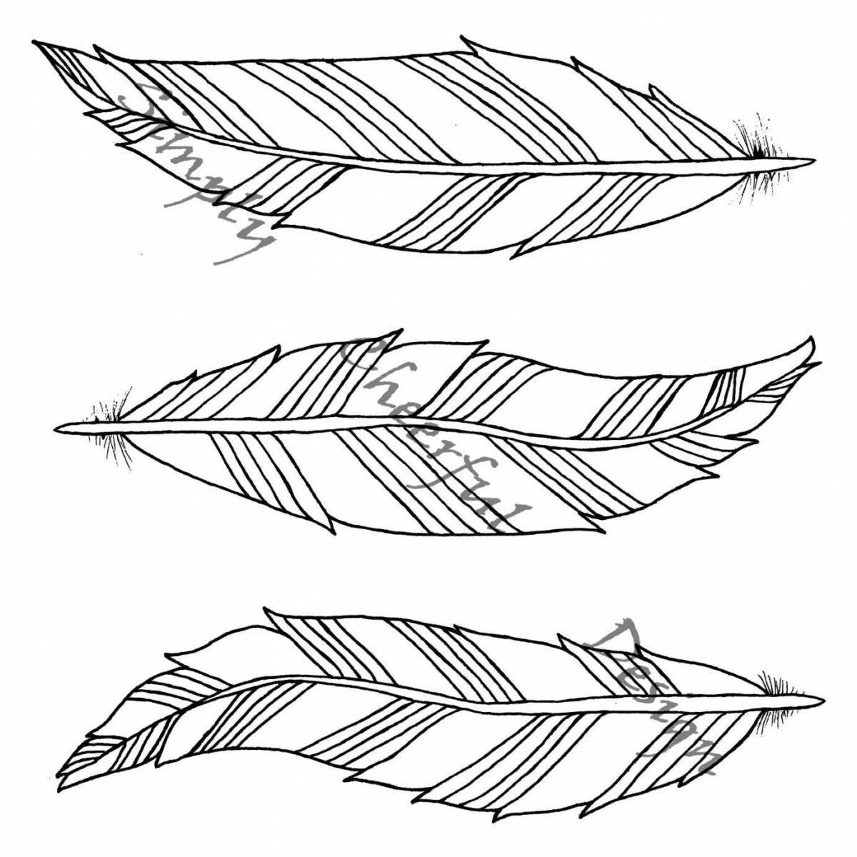 Fancy coloring with feathers