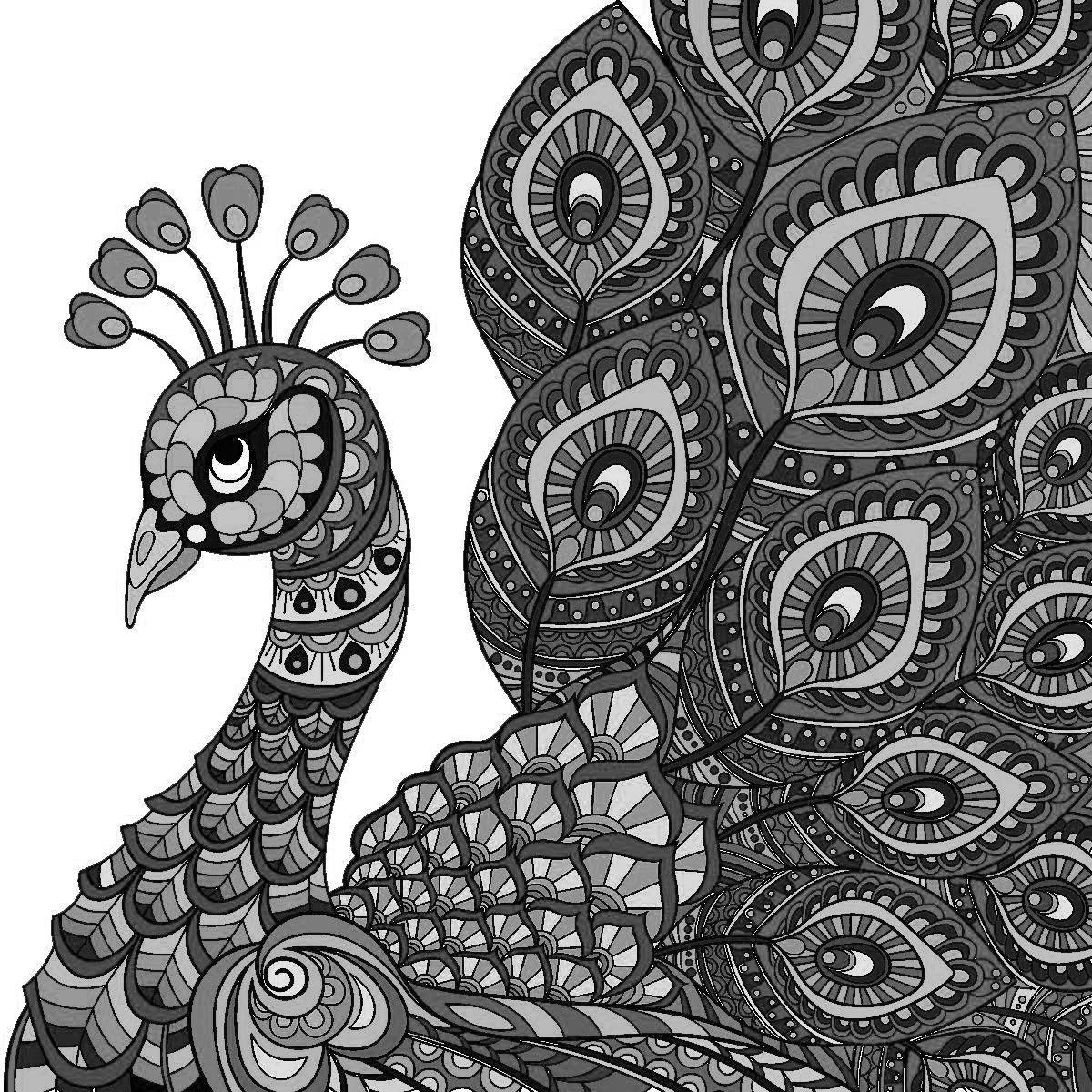 Peacock shiny coloring book