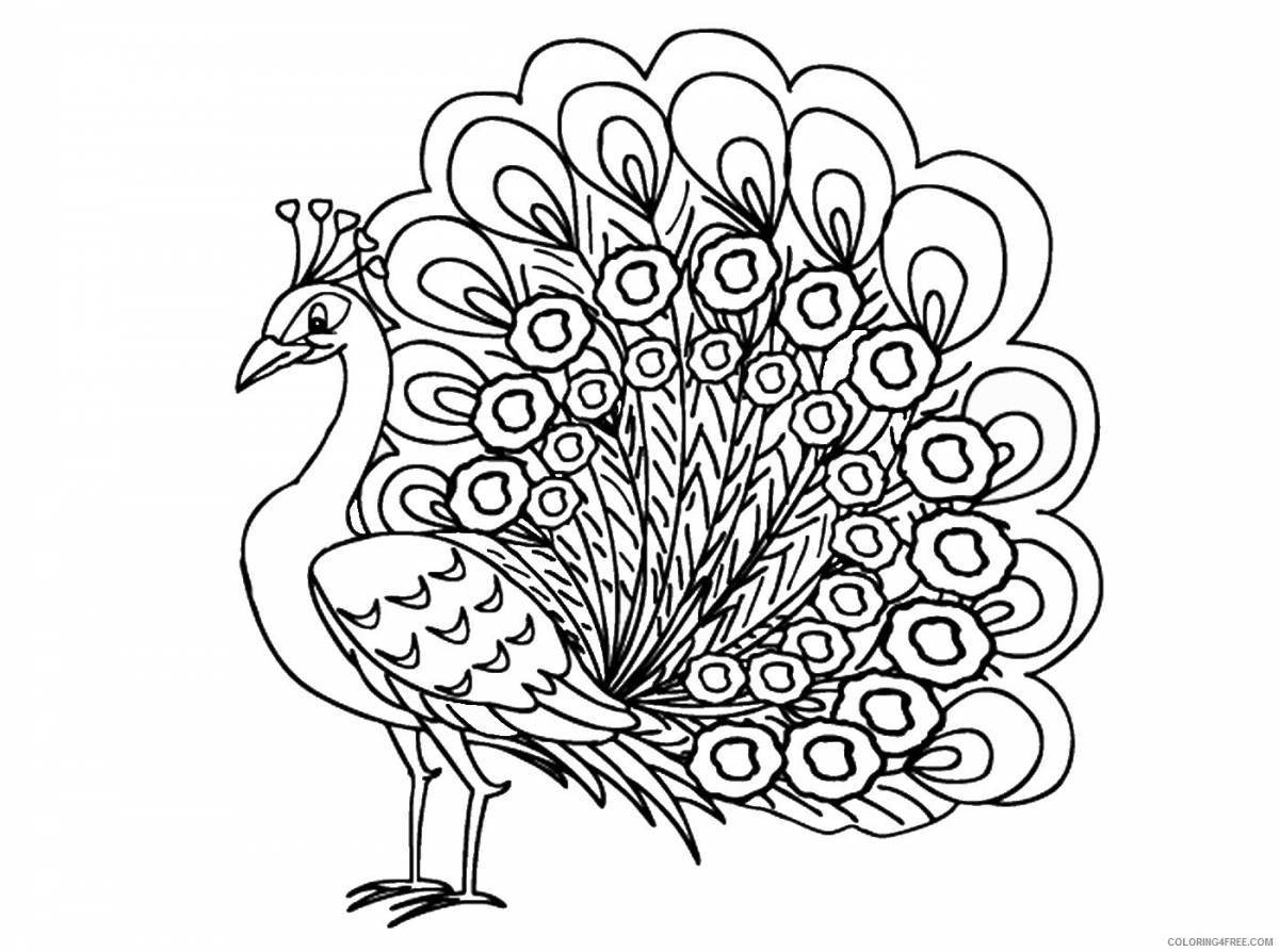 Great peacock coloring book