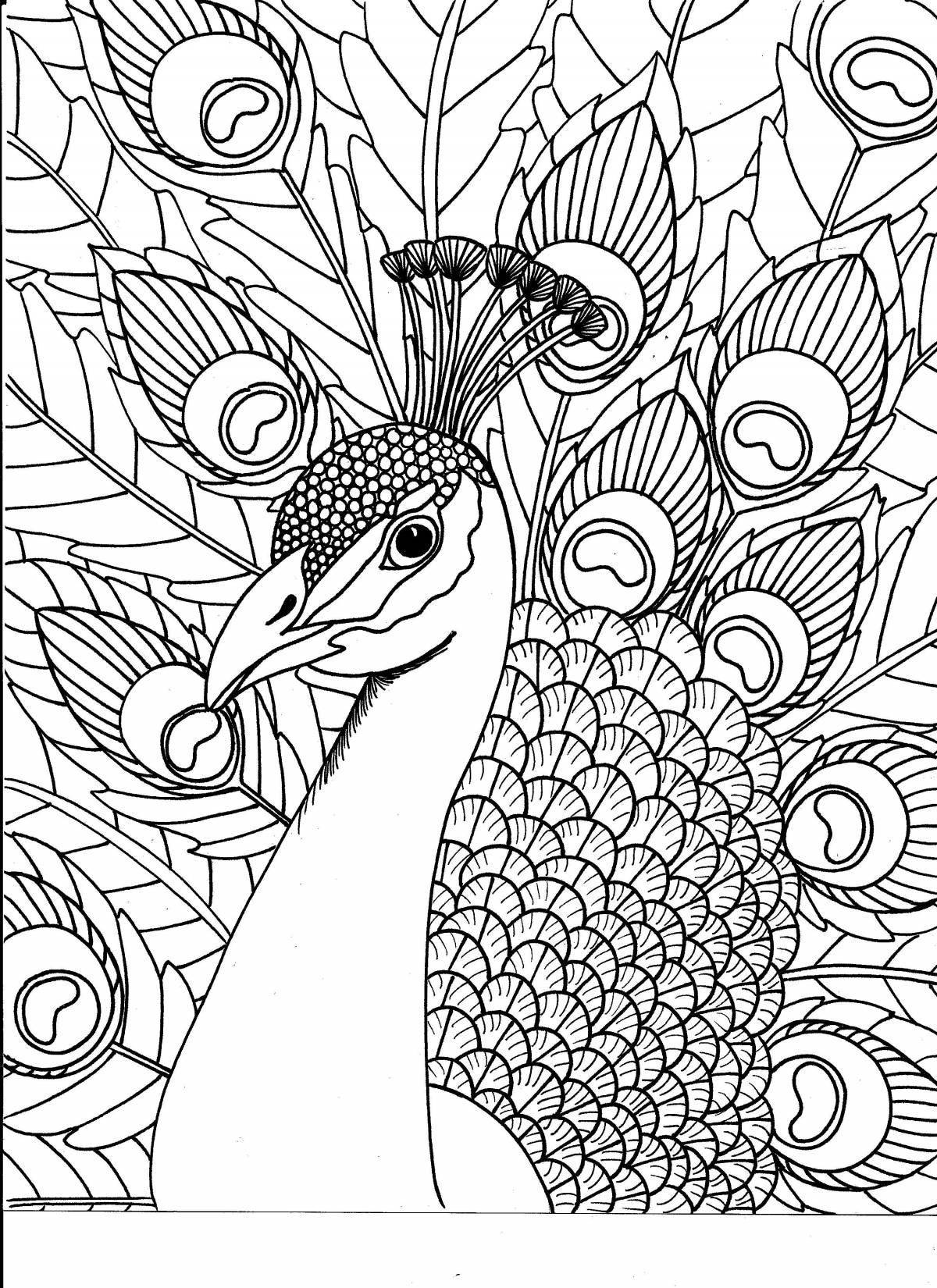 Amazing peacock coloring book