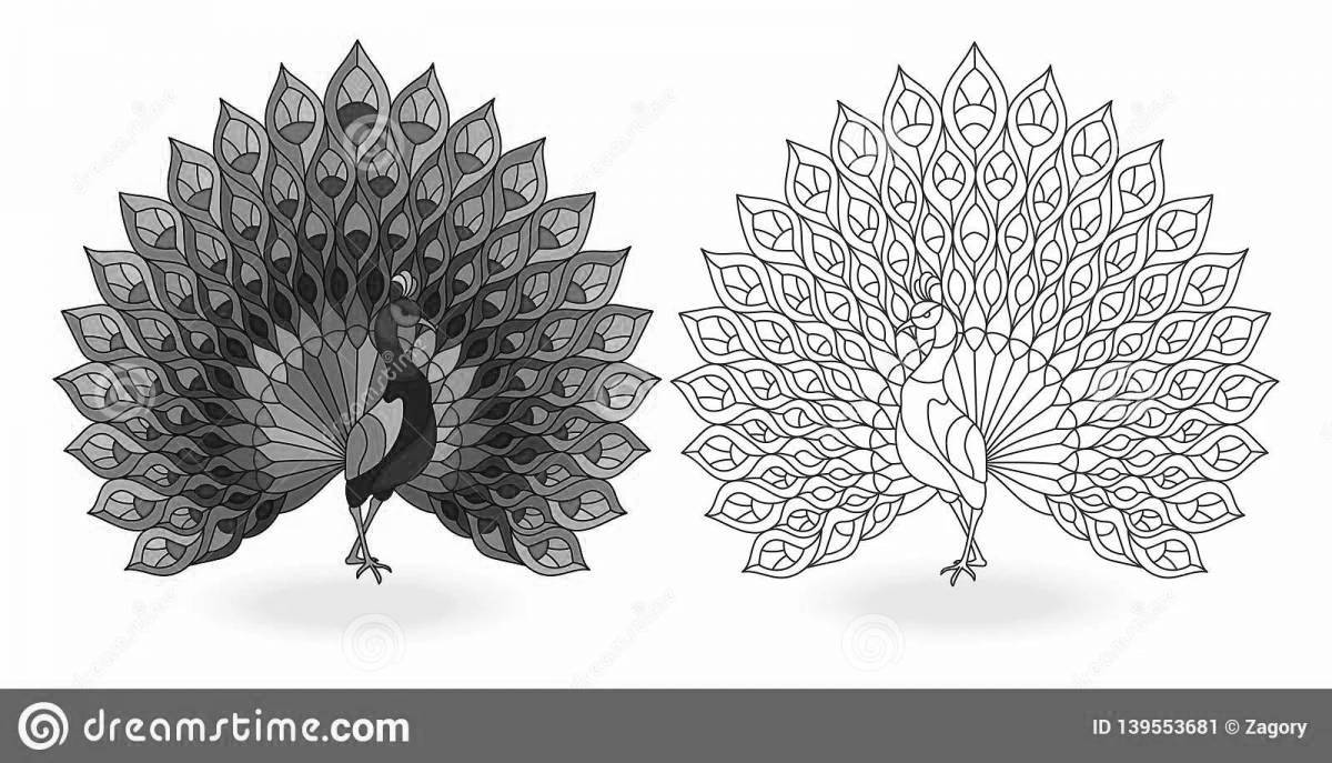 Brightly colored peacock coloring page