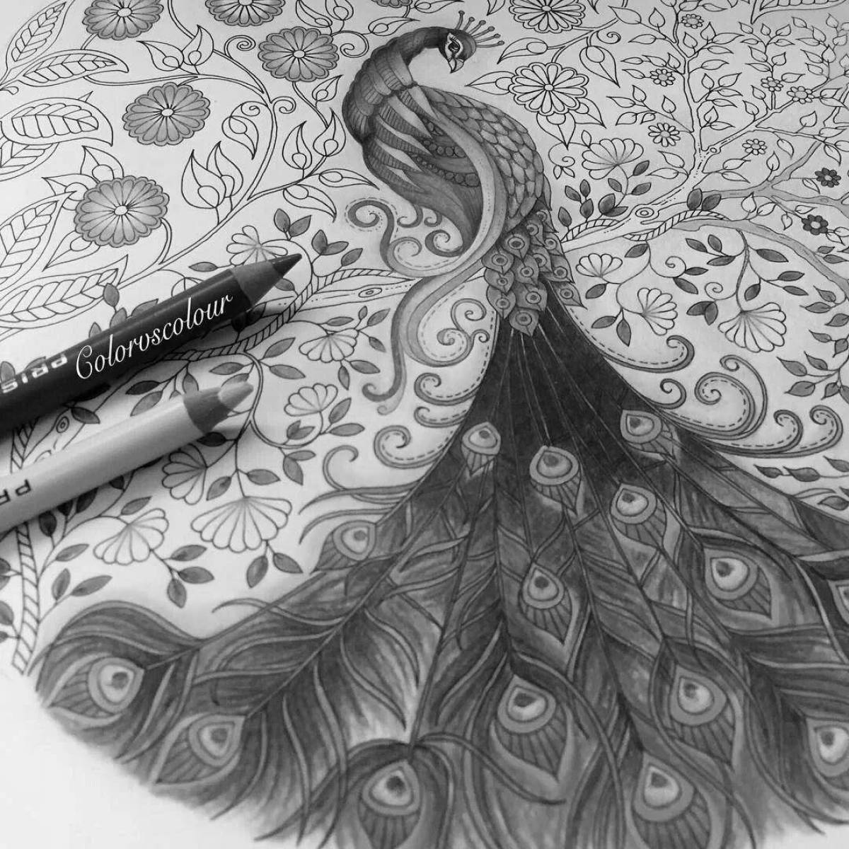 Colorfully decorated peacock coloring page