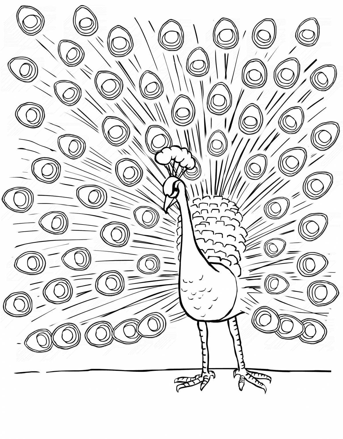 Красочно раскрашенный павлин