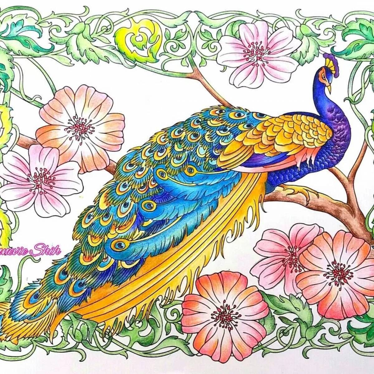 Peacock colored #12