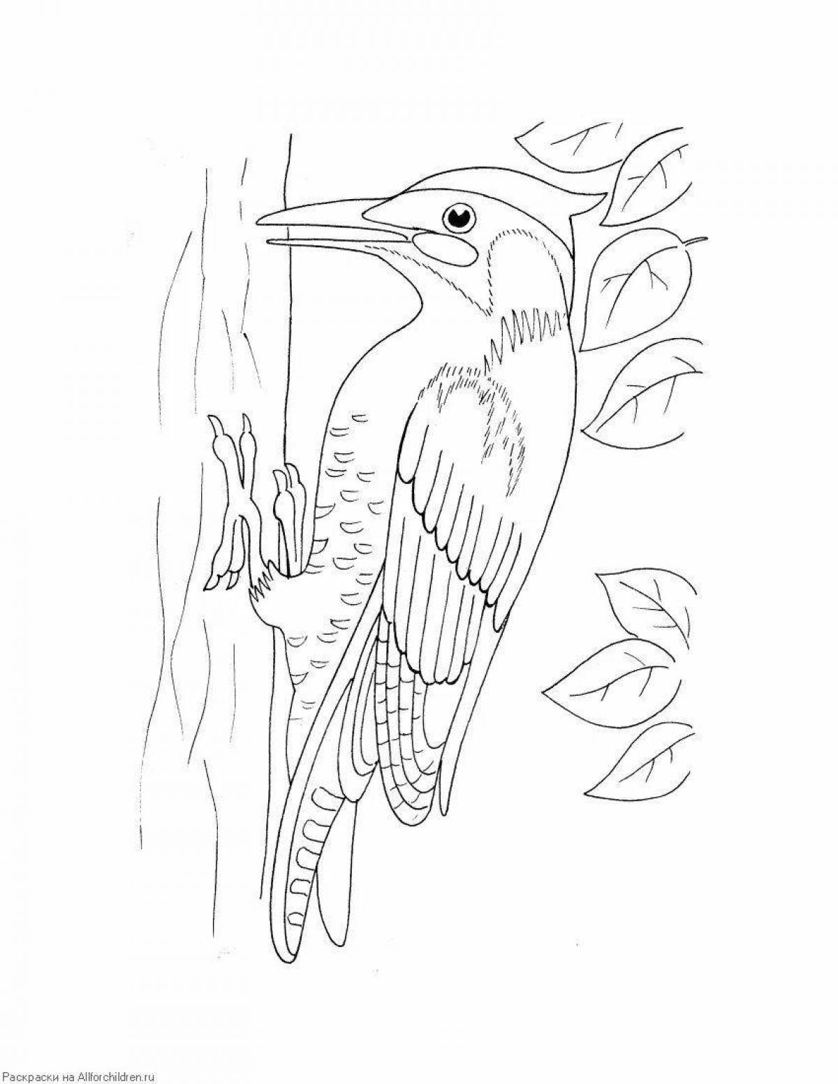 Coloring book cheerful woodpecker