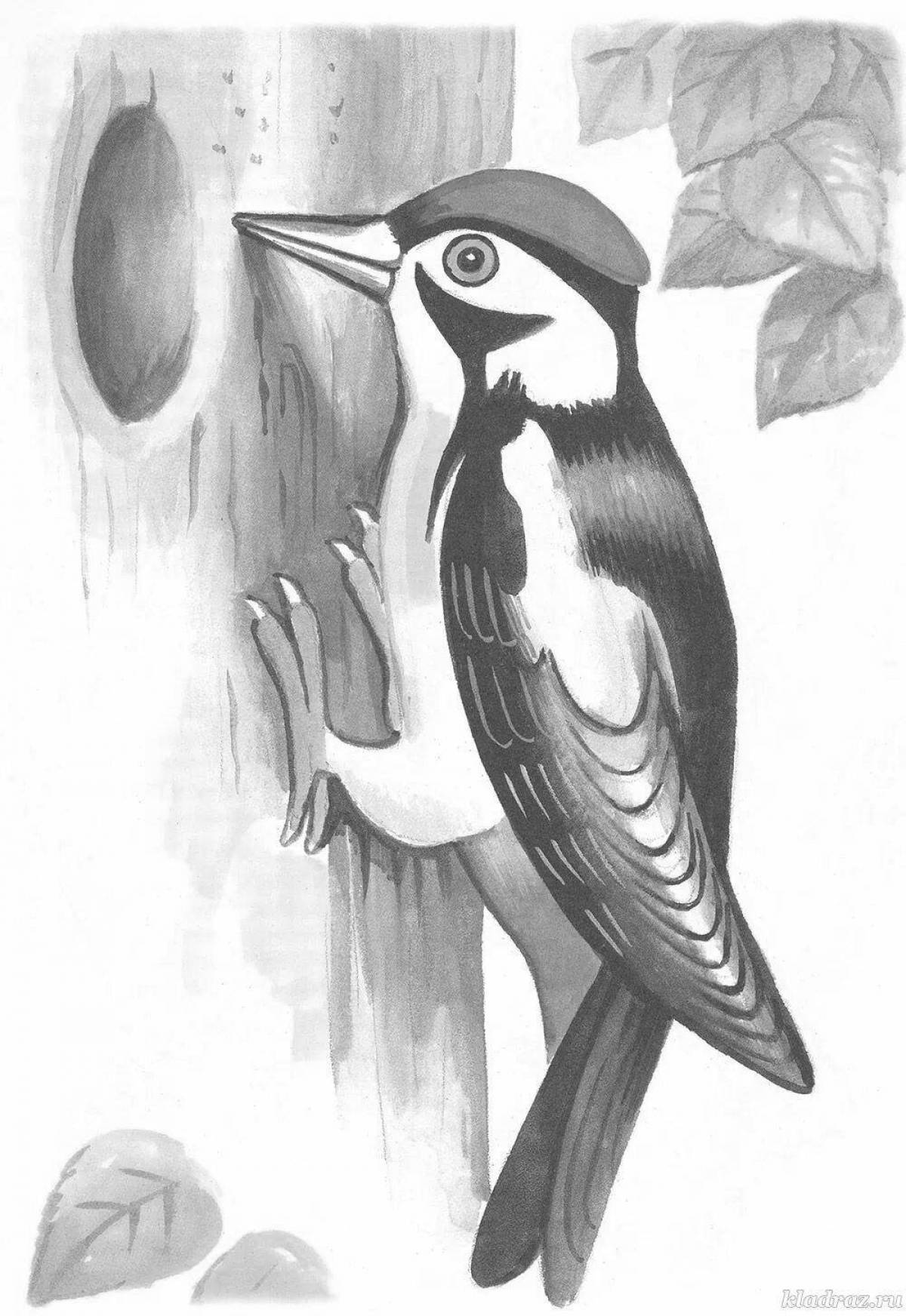 Coloring cute woodpecker