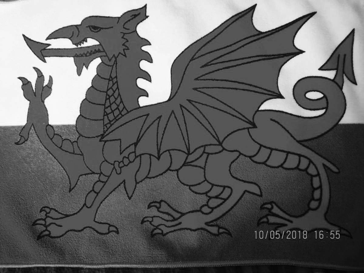 Dazzling Wales flag coloring page