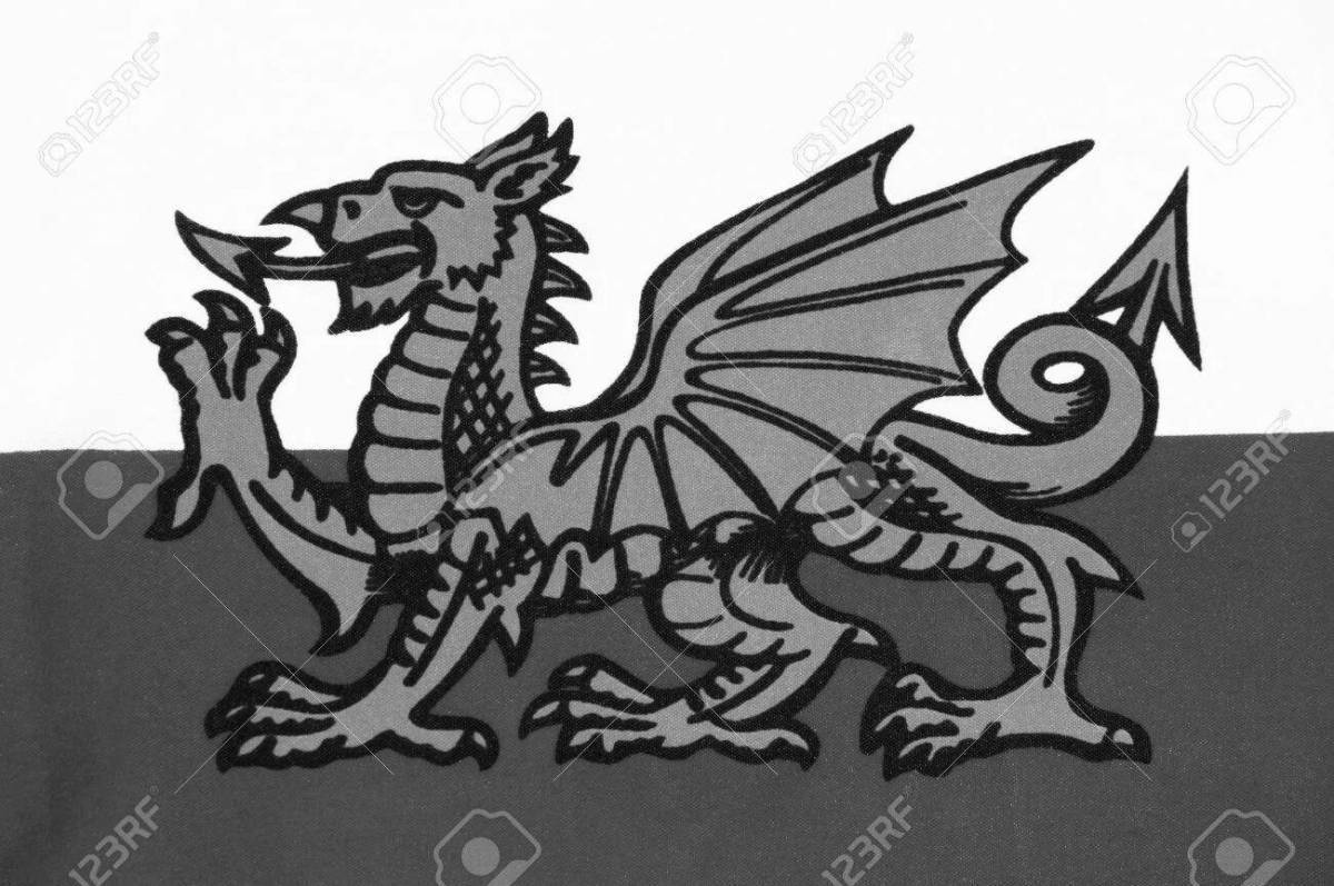 Brilliantly marked Wales flag coloring book