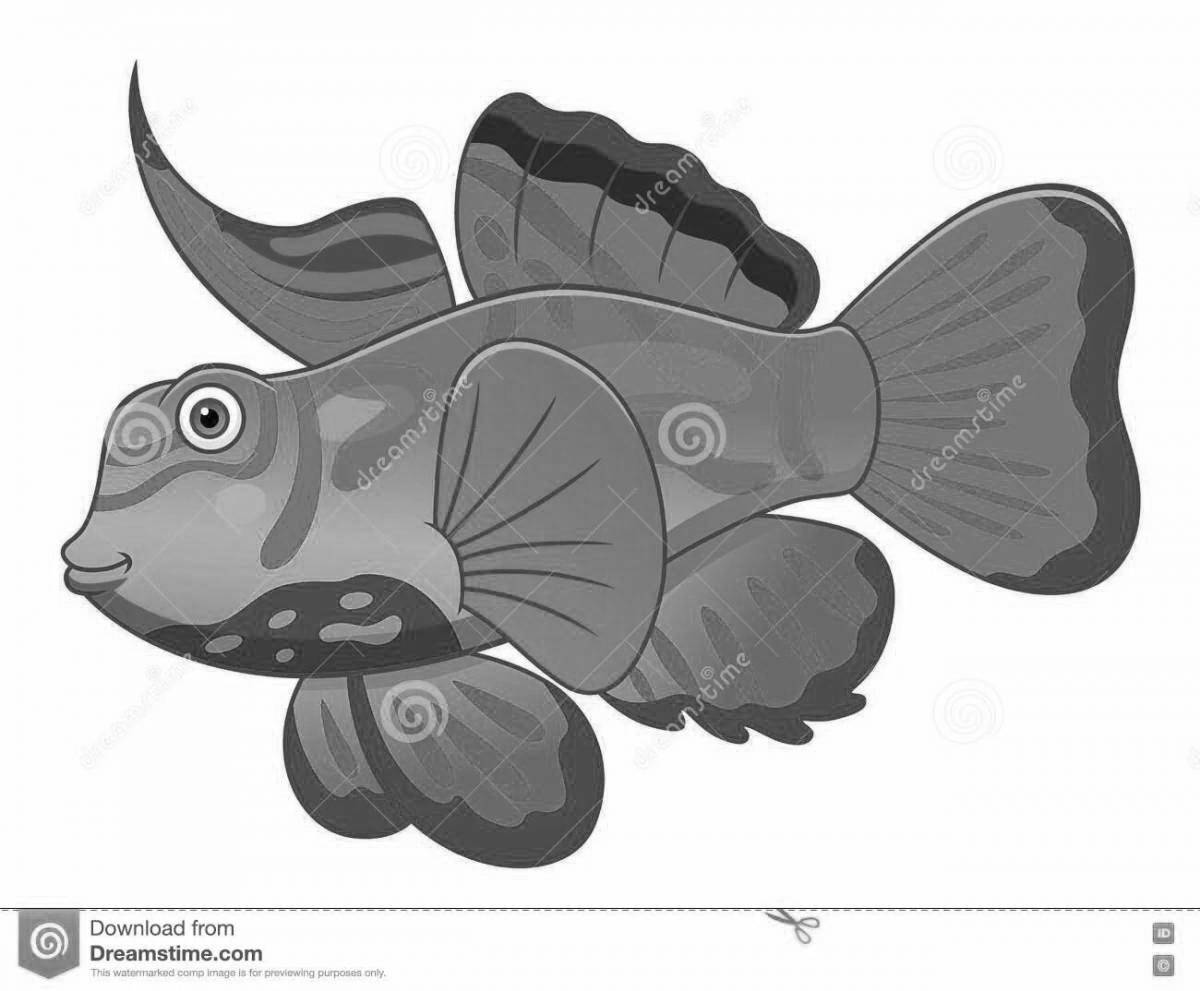 Раскраска живая рыба-мандаринка