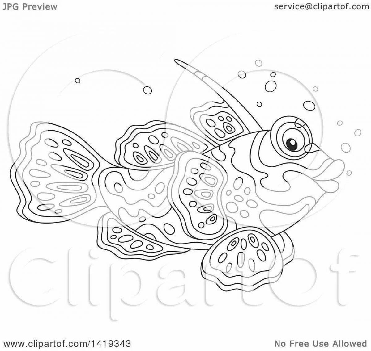 Раскраска королевская рыба-мандаринка