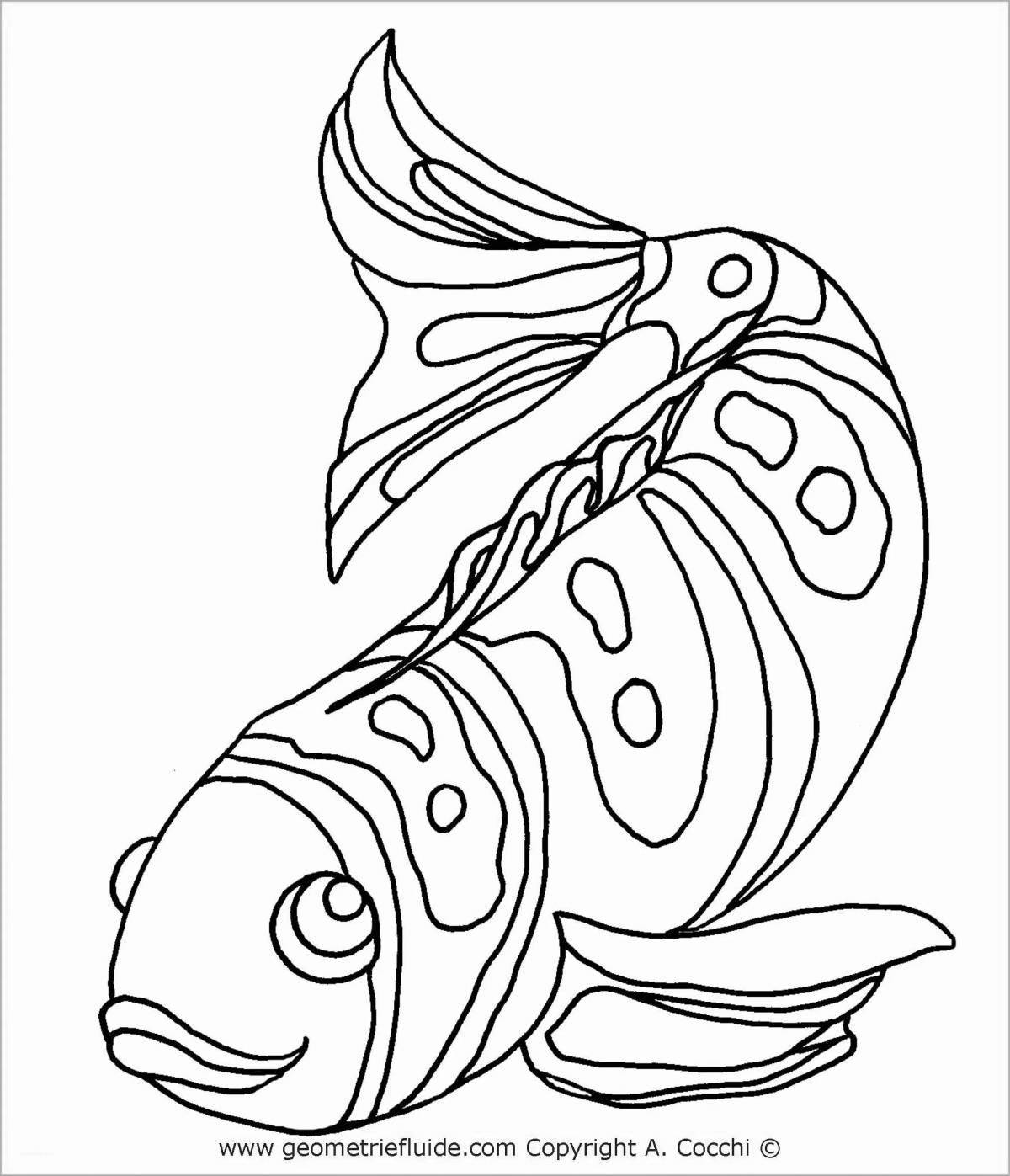 Раскраска впечатляющая рыба-мандаринка