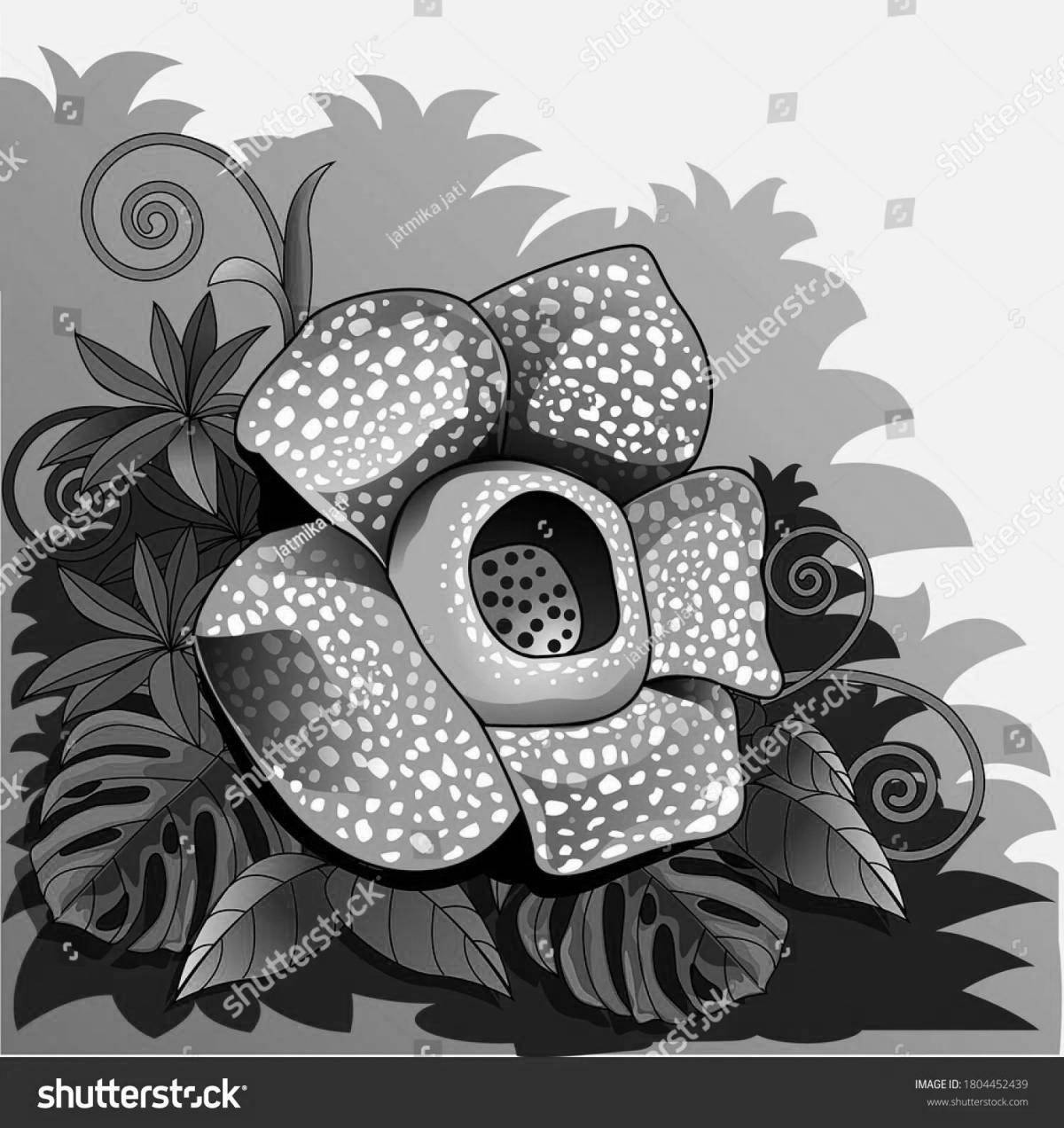 Glowing rafflesia arnold coloring page