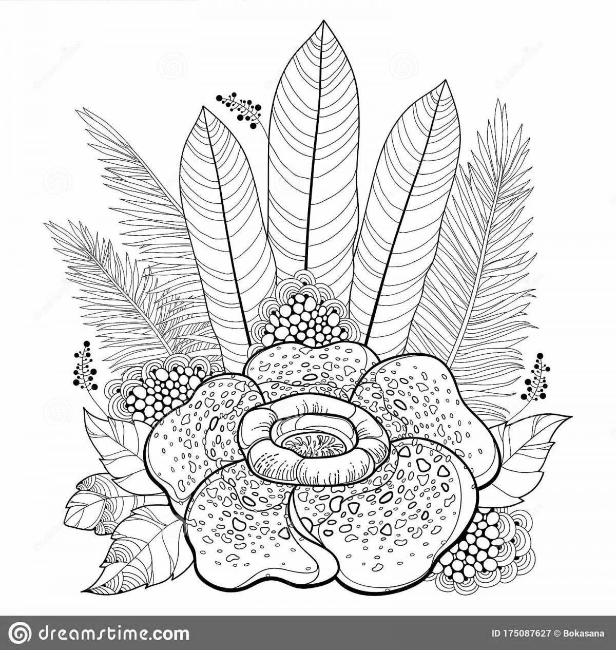 Интригующая раскраска rafflesia arnold