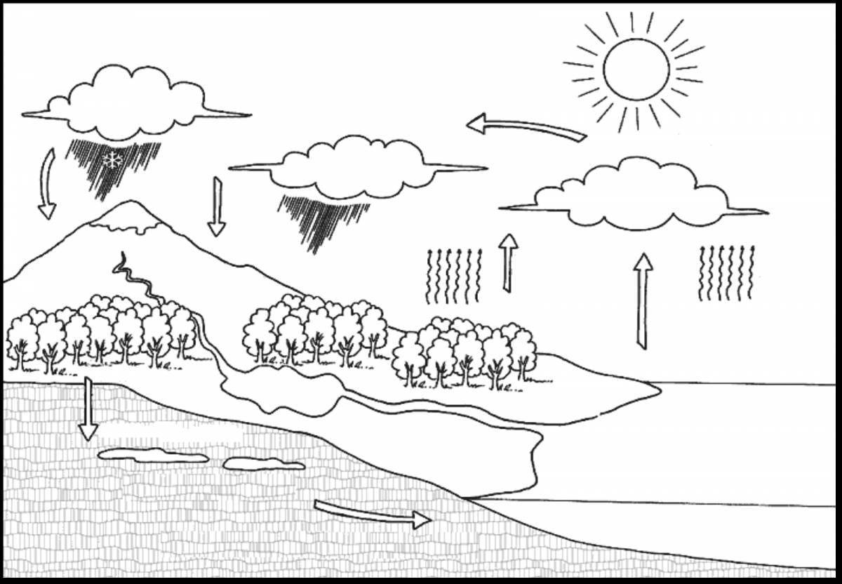Attractive water cycle coloring page