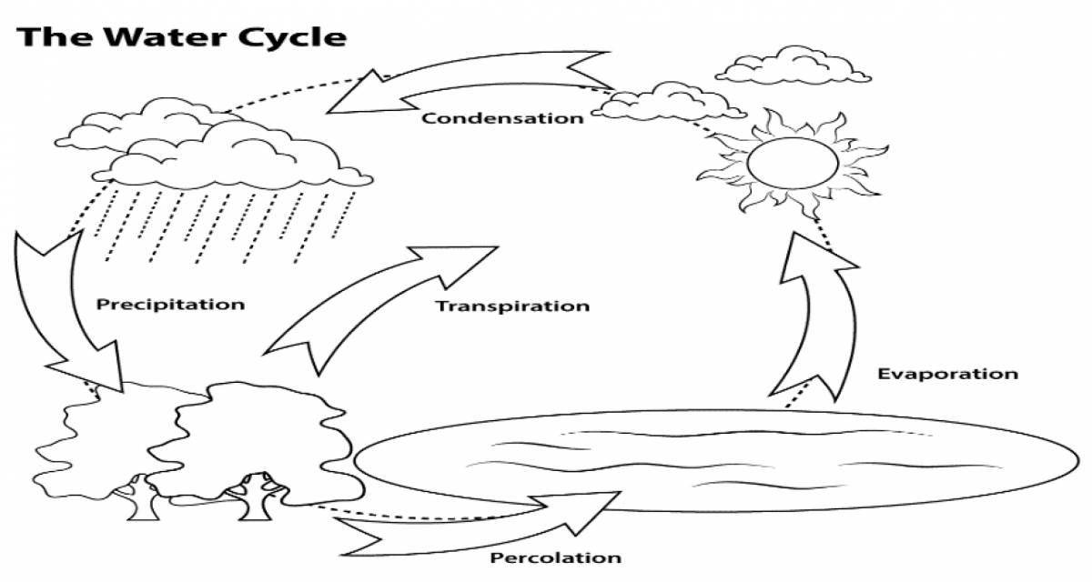 Tempting water cycle coloring page