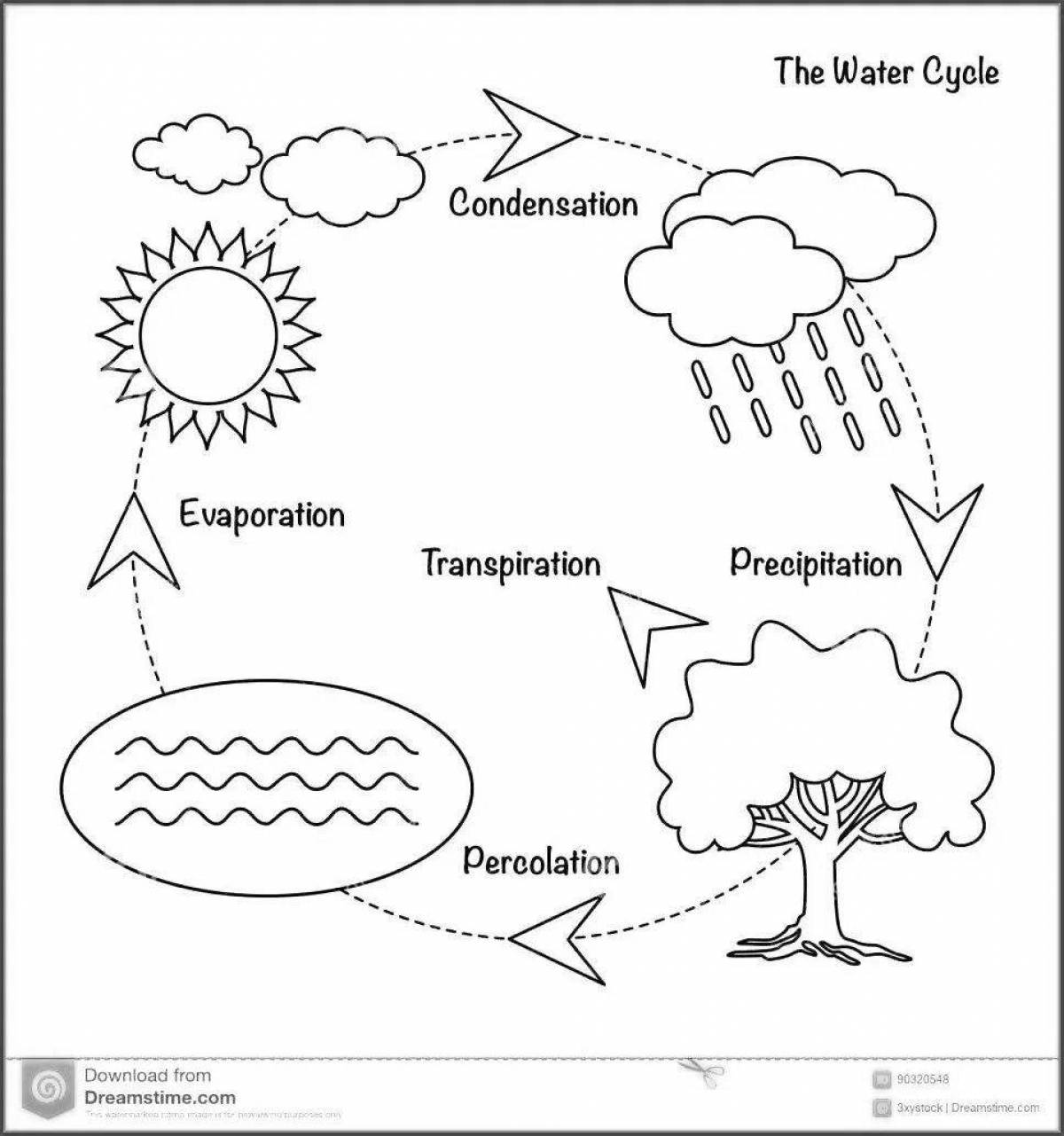 Adorable water cycle coloring page