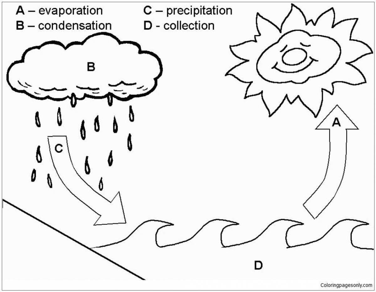 Fun coloring page of the water cycle