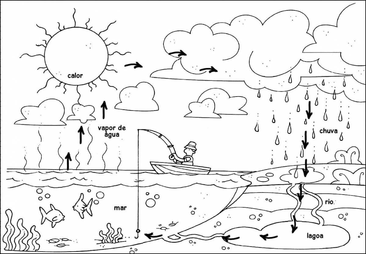 Impressive water cycle coloring page