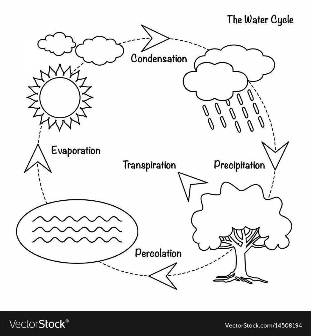 Coloring book fairytale water cycle