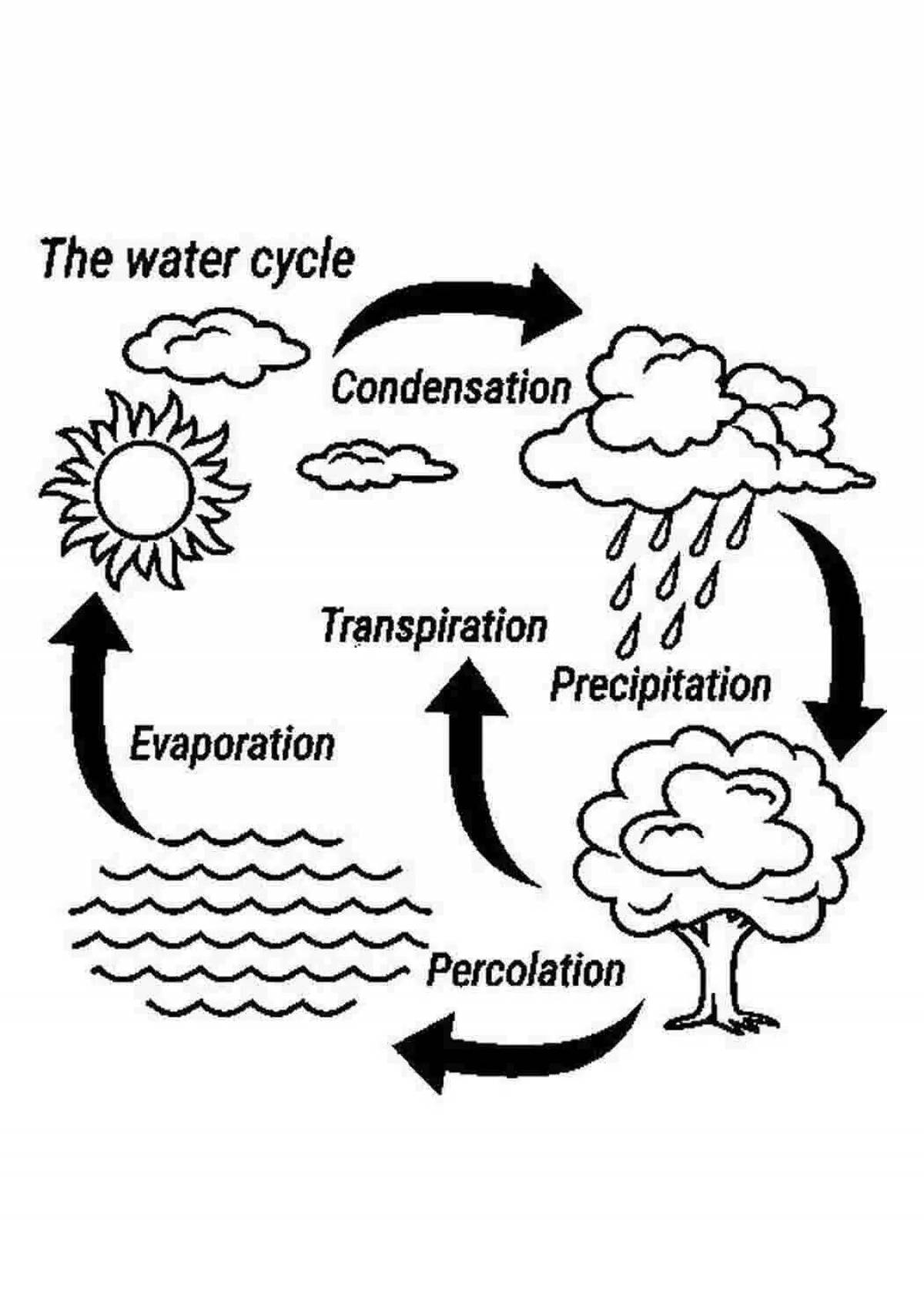 Раскраска большой водный цикл