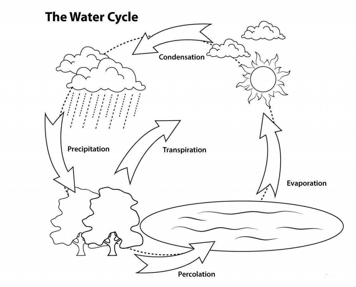 Luxury Water Cycle Coloring Page